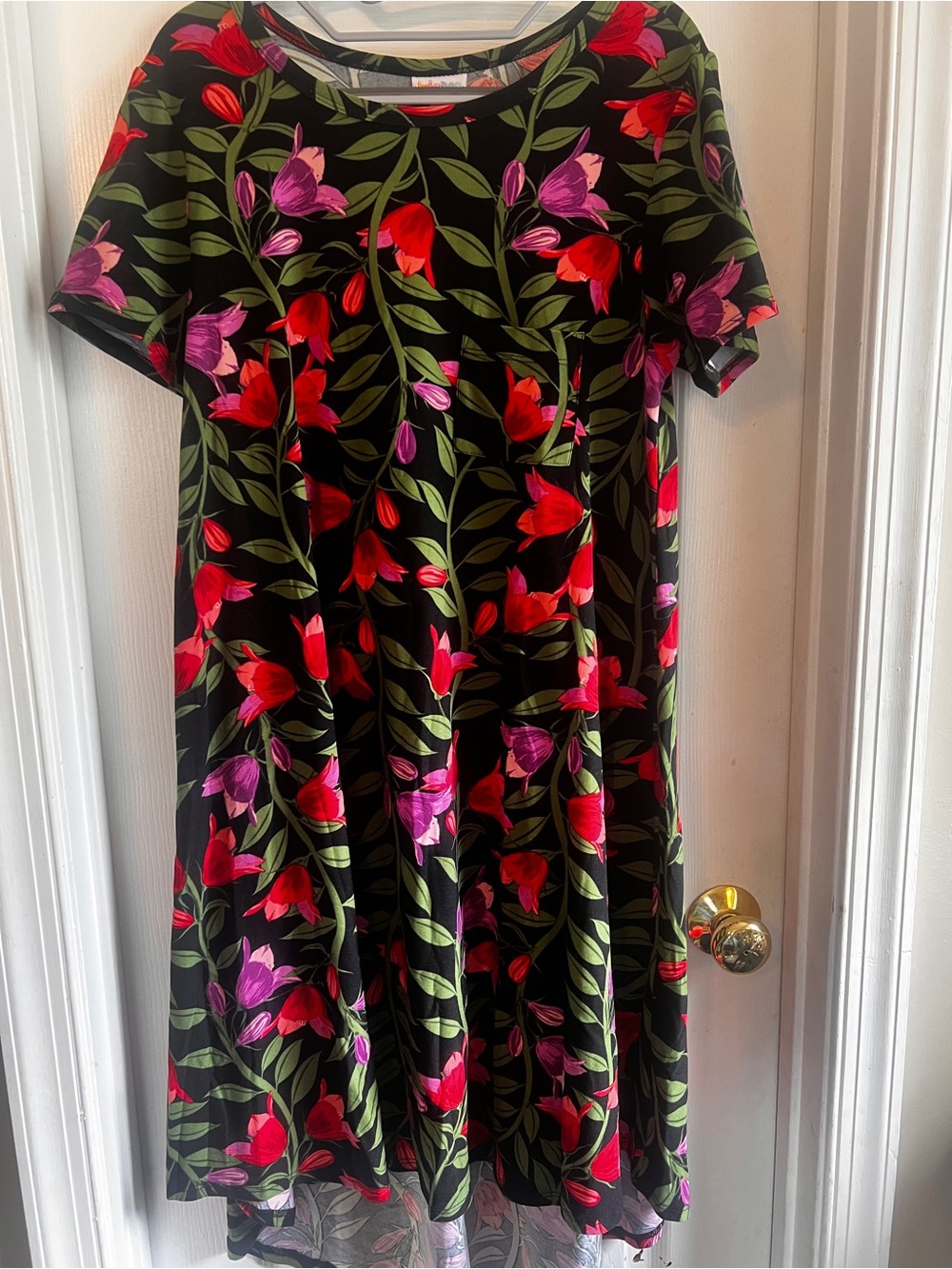 LuLaRoe Jessie Dress with Red & Purple Floral Print - Pockets